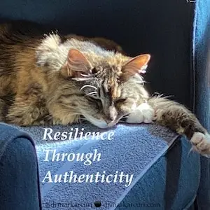 Resilience in Tough Times