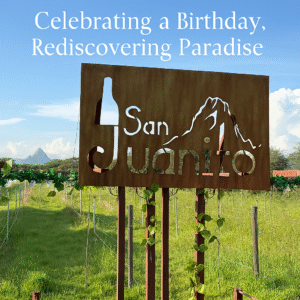 San Juanito vineyard on a sunny day with a rustic metal sign in the foreground and distant mountains in the background. White text on the image reads "Celebrating a Birthday, Rediscovering Paradise."
