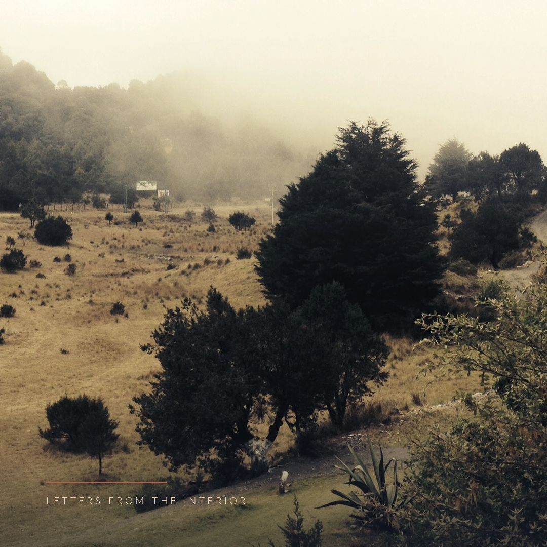 Fog lifting over a pasture below wooded hills near San Joaquín, Querétaro, the landscape accompanying a reflection on grief and change