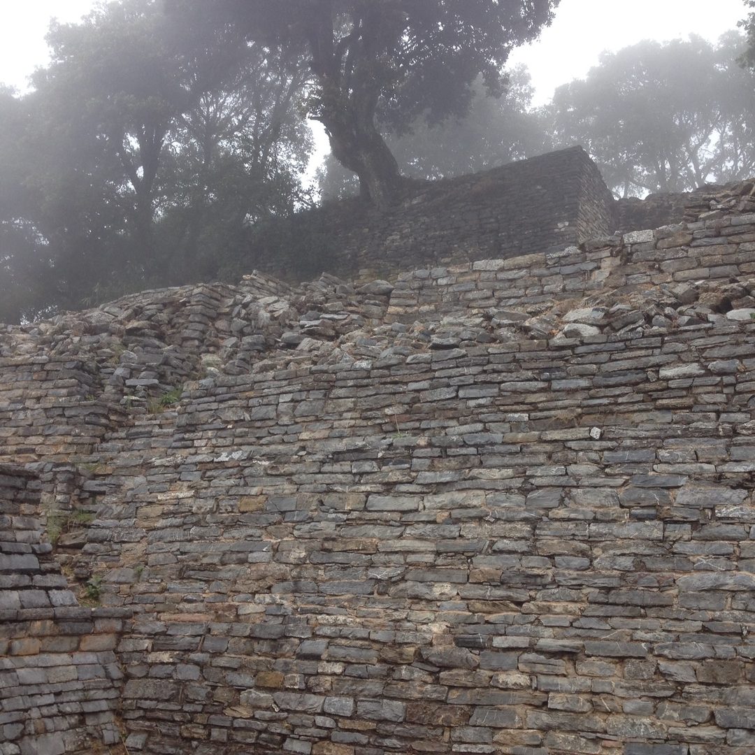 Stone terraces and an oak at Ranas in San Joaquín, Querétaro, in a post about meaningful work and living in closer relationship with who we are.