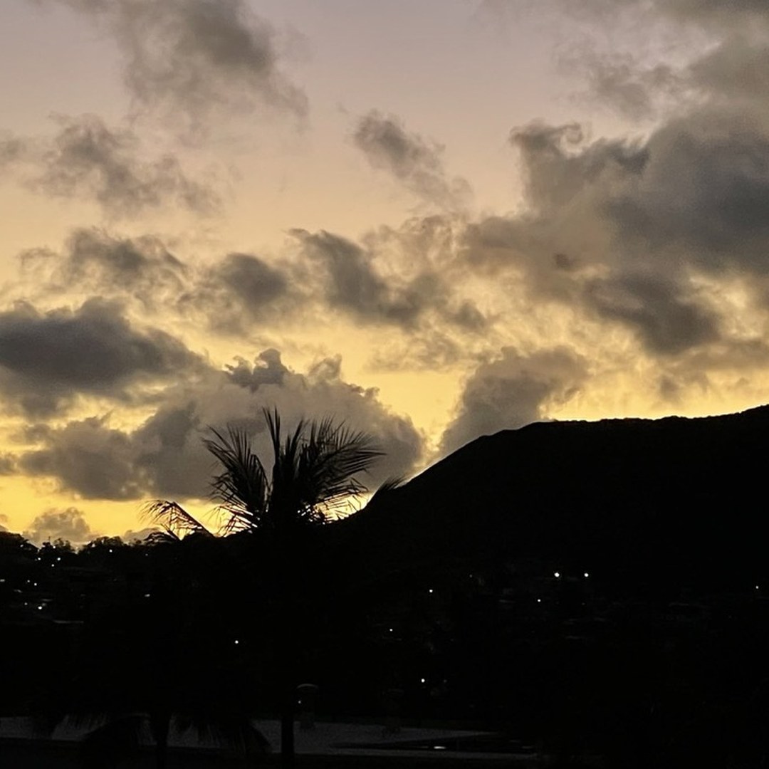 Golden sky above a dark mountain ridge and palm silhouette, illustrating a reflection on life alignment and the beginning of change.